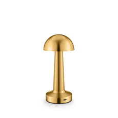 Rechargeable Table Lamp WE‑105.010.130/A, Color: Gold, Centimetres: 22 x 9