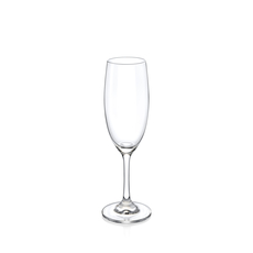Champagne Flute Set of 6 in White Box WL‑271.210.501/6A (OLD: 888027) 
