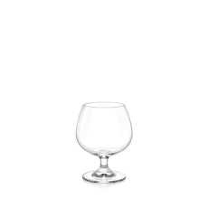 Cognac Glass Set of 6 in White Box WL‑271.810.501/6A (OLD: 888025)