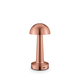 Rechargeable Table Lamp WE‑105.010.123/A, Color: Copper, Centimetres: 22 x 9